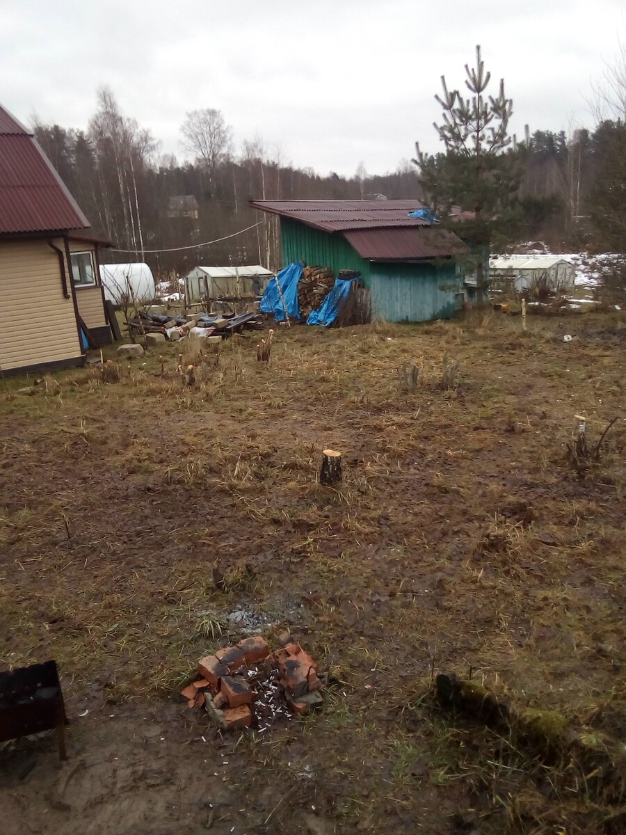 Прекрасный вид)