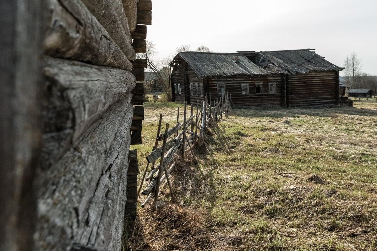 Иногда родные стараются сберечь отчий дом - подремонтировать, починить постройки, тогда  он даже внешне оживает и никто его не трогает. Но большая часть домов брошена  
