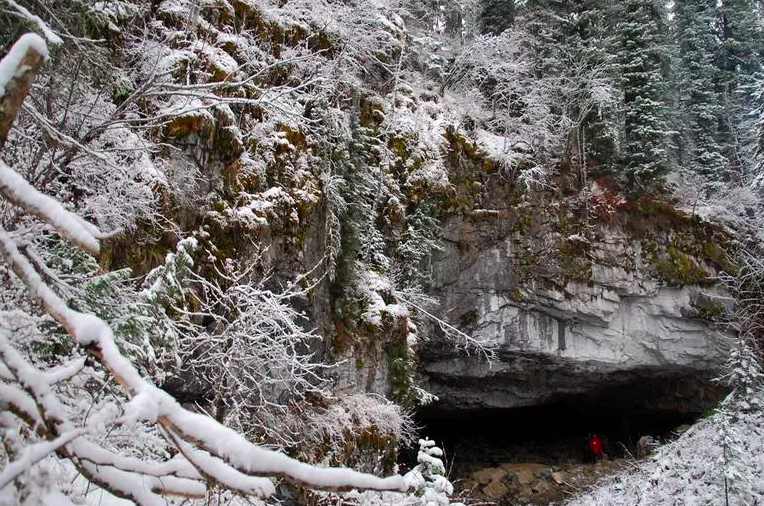 фото яндекс