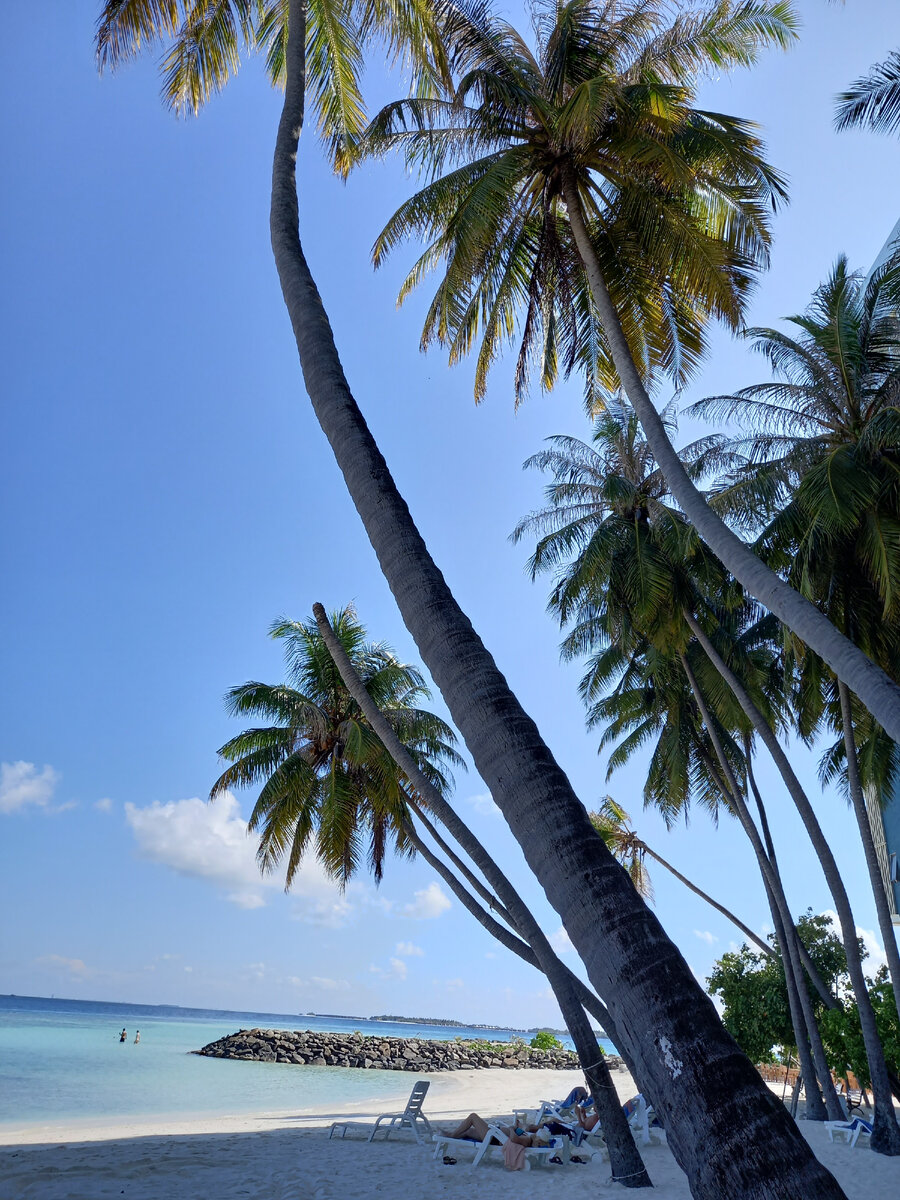 Остров Маафуши. Мальдивы.