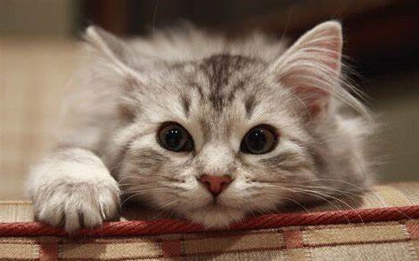 Фото из Интернета.