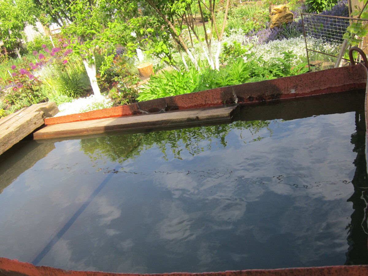 Собственные фото автора.  Все фото сделаны 20 мая 2022 г.