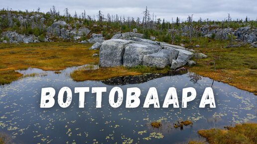 Самое мистическое место Карелии! Гора Воттоваара с дрона. Гимолы