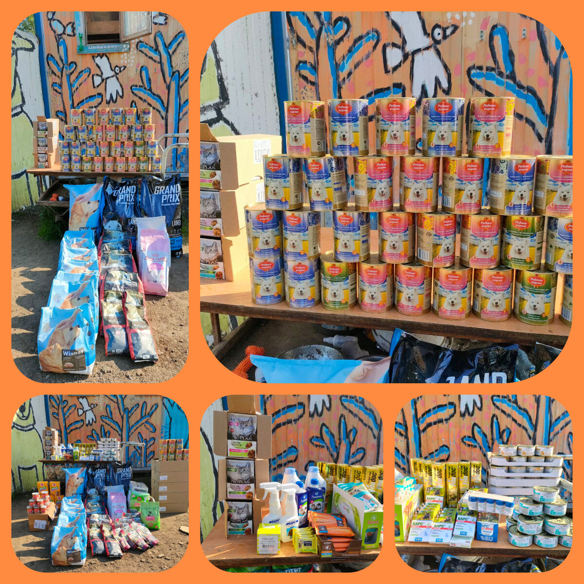 Публикуем видео и статьи об одном и том же, потому что Дзен почему-то не показывает наши видео даже 1/20 части наших подписчиков😔 А устно описывать как рады собаки нет смысла))) лучше показать