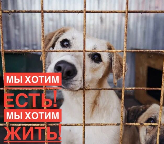 Нам нужна помощь