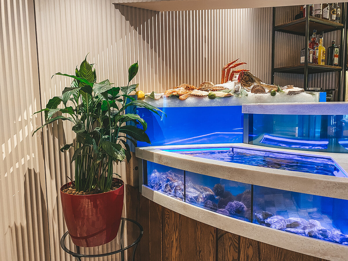 Аквариумы →