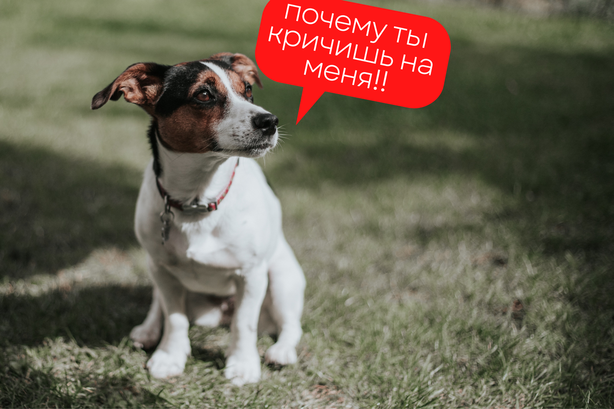 Фото Джеммы Регаладо на Unsplash