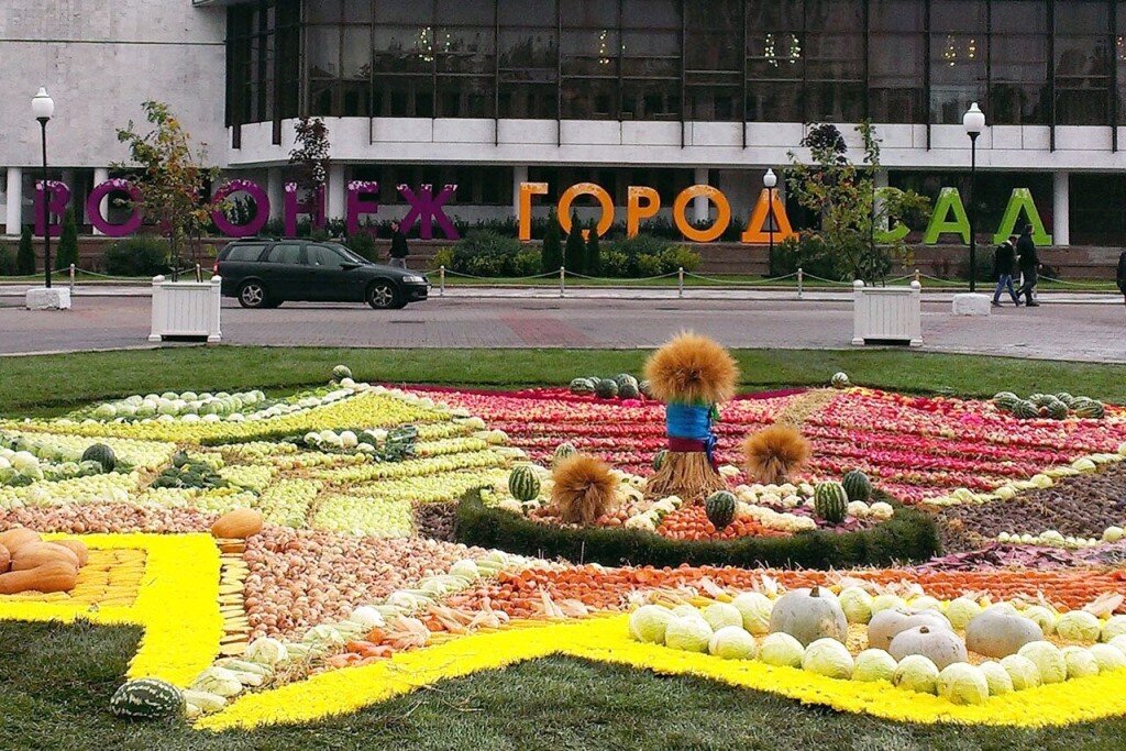 Работа в городе воронеж. Город сад Воронеж 2021. Город сад Воронеж 2019. Город Воронеж 2022. Парк Динамо город сад.