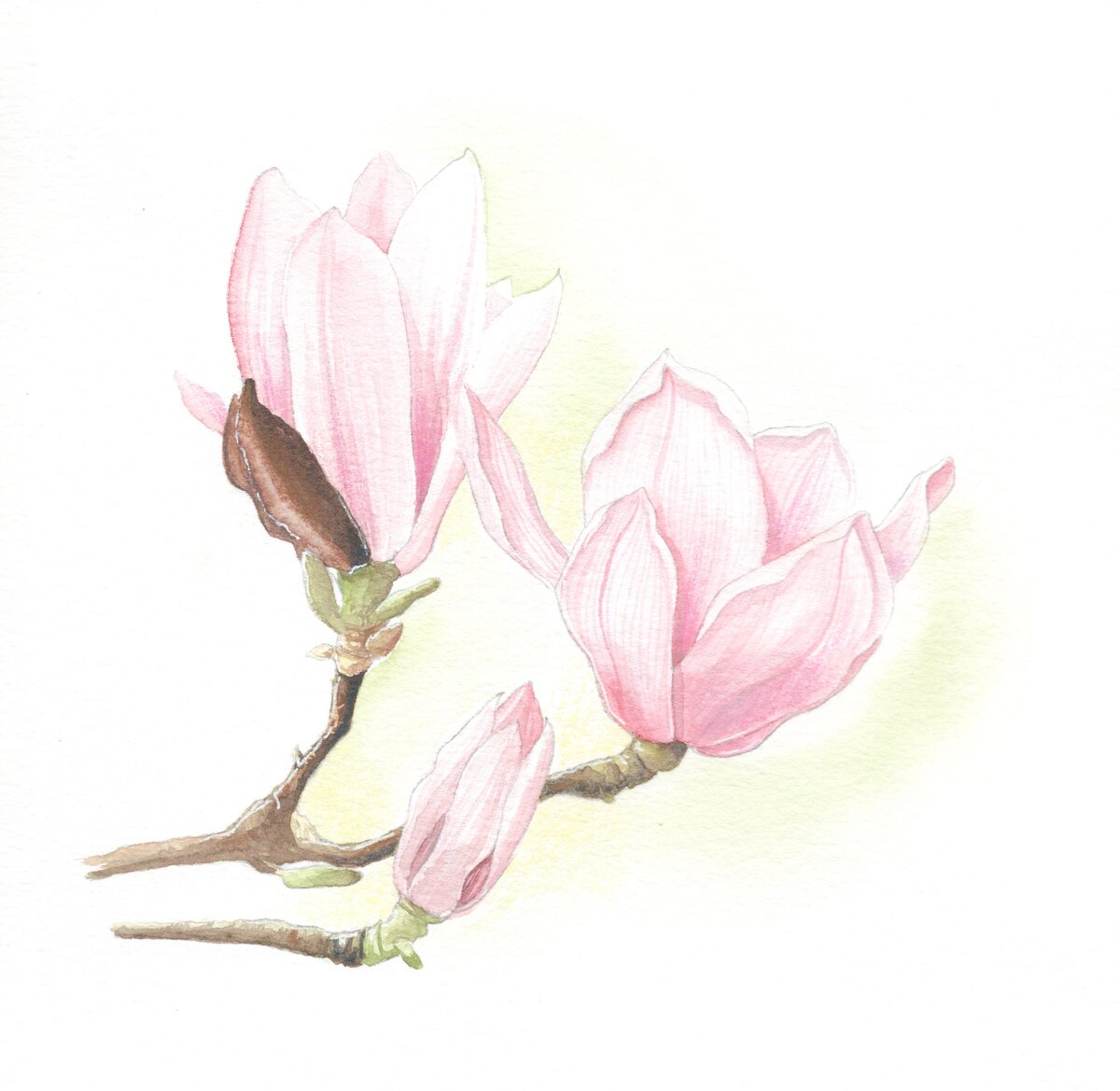 Работа автора. Акварель, хлопок