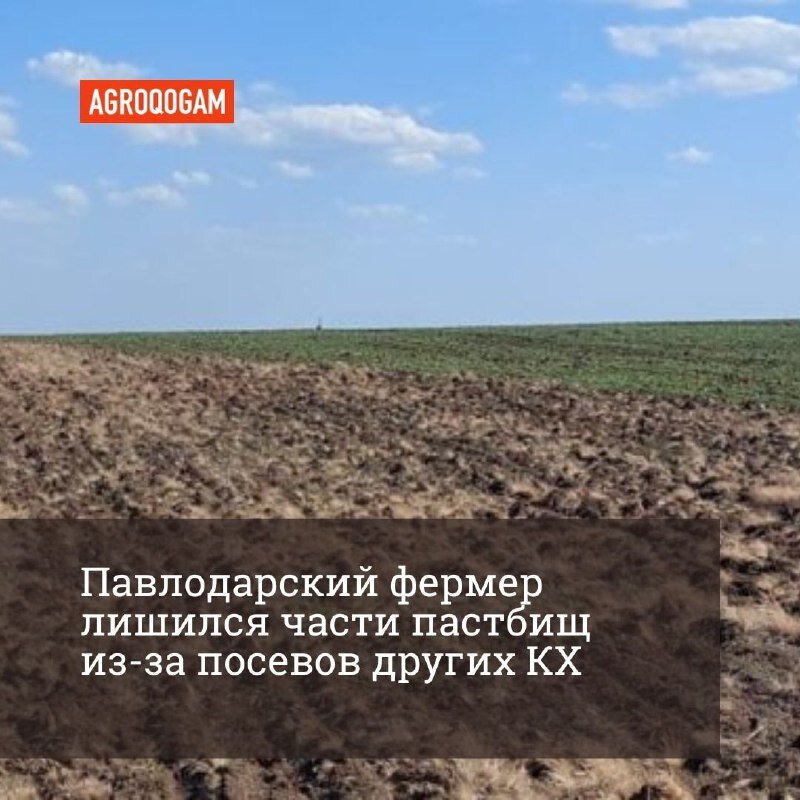 С ситуацией захвата земель Владимир Крук сталкивается второй год подряд. Его земли в Успенском районе засеивает другой крестьянин. 
«Засеивают пастбища и вроде бы, арестованные земли и плюс цепляют мои пастбища. Сносят границы и засеивают», – рассказал Владимир Крук, глава ФХ «Крук».

Мужчина занимается коневодством и держит около 250 голов. Земли под пастбища, которые есть его распоряжении, находятся в Козыкеткенском сельском округе, около 1600 га.

«Нужно больше земли, даже с расчётом 12 гектар на голову не хватает ни пастбищ, ни сенокосов», – говорит фермер.

По его оценке, заняли 50 гектаров и посели гречиху. Чтобы разобраться в ситуации и вернуть свои земли мужчина обратился с заявлением в районный отдел земельных отношений.

«В прошлом году мы также писали коллективное письмо. Засеяли прямо возле деревни земли акимата – 350 гектаров», – говорит глава ФХ «Крук».

По его словам, сеют ни один год, в прошлом году даже писали письмо в прокуратуру. Там заявление не приняли, сославшись на то, что это не в их компетенции и отправили к земельщикам.

«Нам пришел ответ, что оштрафуют, но в итоге по закону они должны были убрать и восстановить пастбища, а они убрали зерновые и посеяли гречиху», – отметил Владимир Крук.

В акимате Успенского района наличие проблемы подтвердили и сообщили, что держат ситуацию на контроле.

«Официальное письмо к нам поступило, представитель отдела земельных отношений выезжал на место, материал заактирован и отправлен в департамент по управлению земельными ресурсами. Решение примет департамент, компетентнее их в этом вопросе нет никого», – сообщил Николай Дычко, аким Успенского района.

Продолжение на нашем ресурсе: https://agroqogam.kz/?p=15937