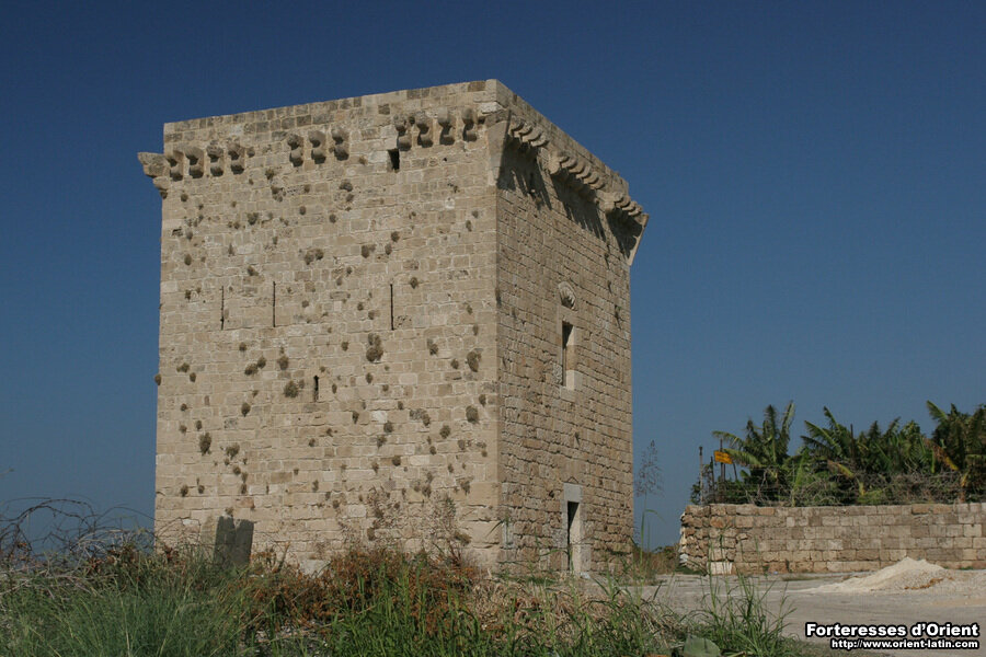 фотки наворовала в сети