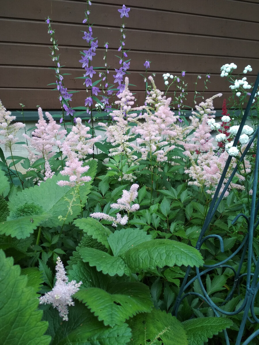 Июль прошлого года. 