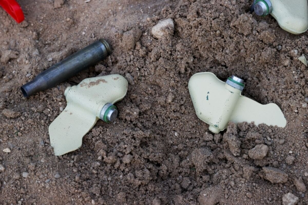    В Донецке местный житель подорвался на мине «Лепесток»