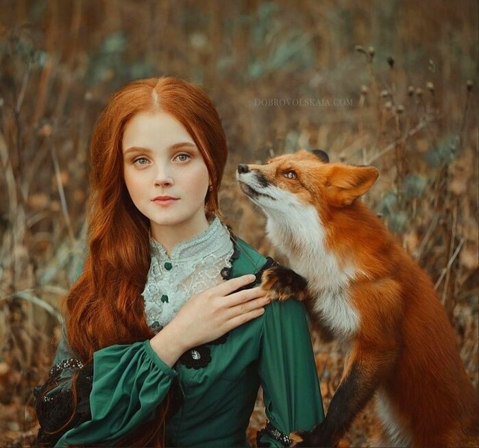 Добавьте описание