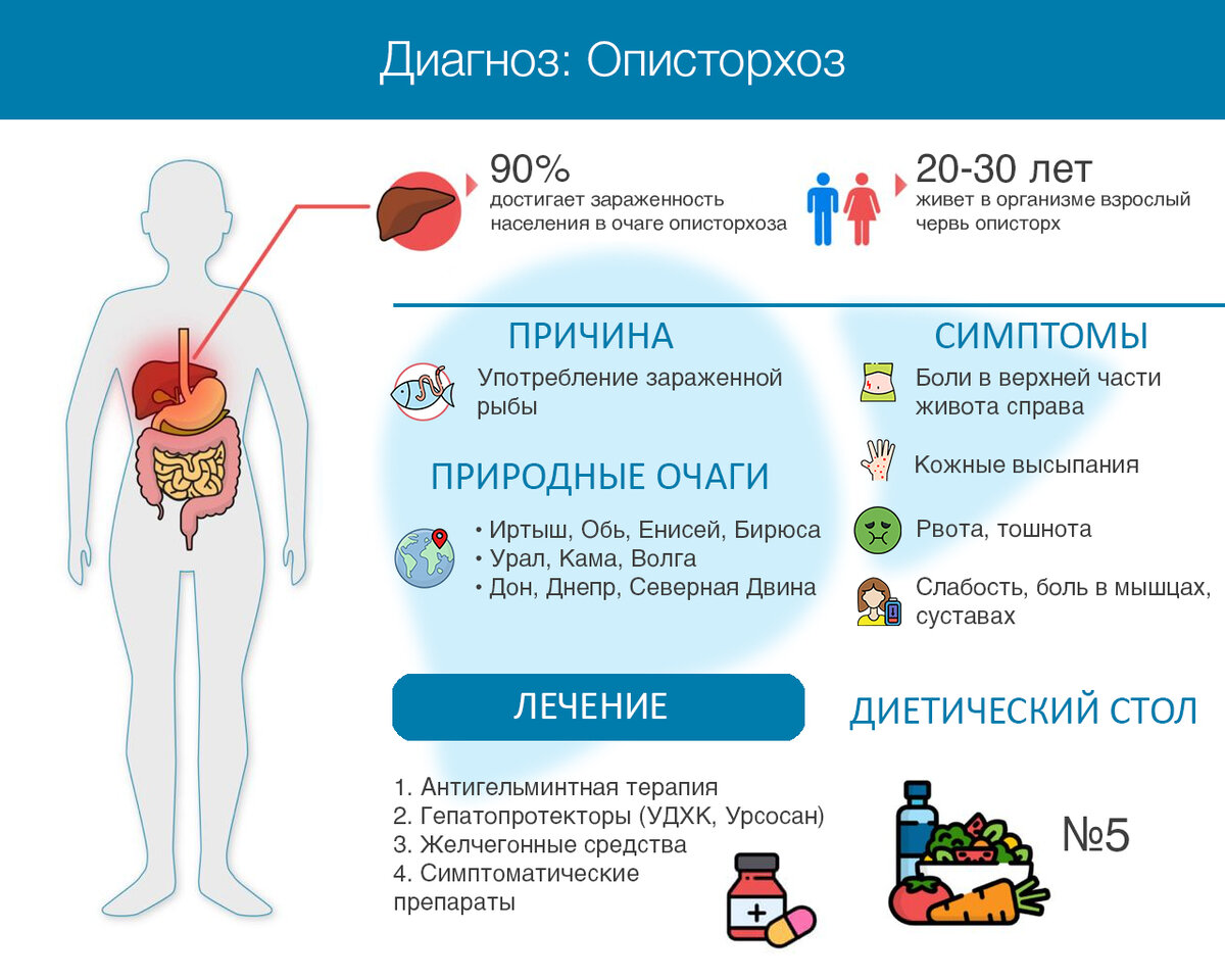 Признаки того, что у вас может быть описторхоз, признаки описторхоза