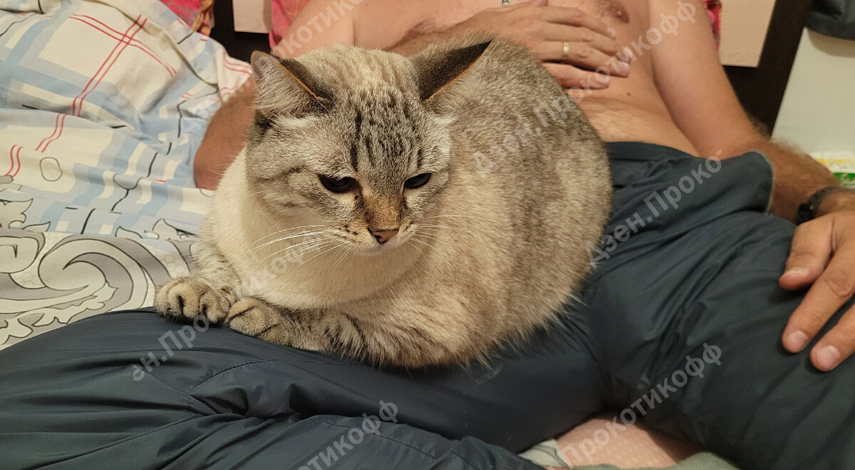 "Сам бы попробовал полежать на такой кривой ноге, умник..."