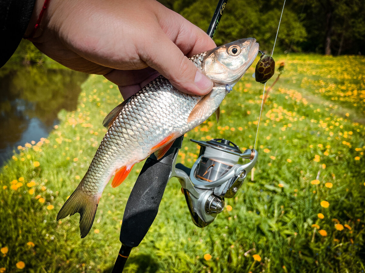 FC или Finesse Custom: что обозначают эти слова на катушках Daiwa ...