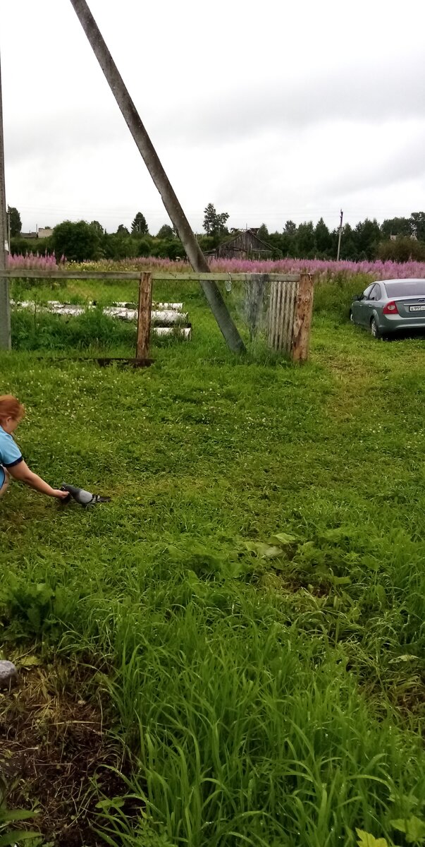 Важные гости.