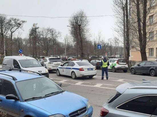     Сервис экономит время автомобилистов. Фото: МК в Питере