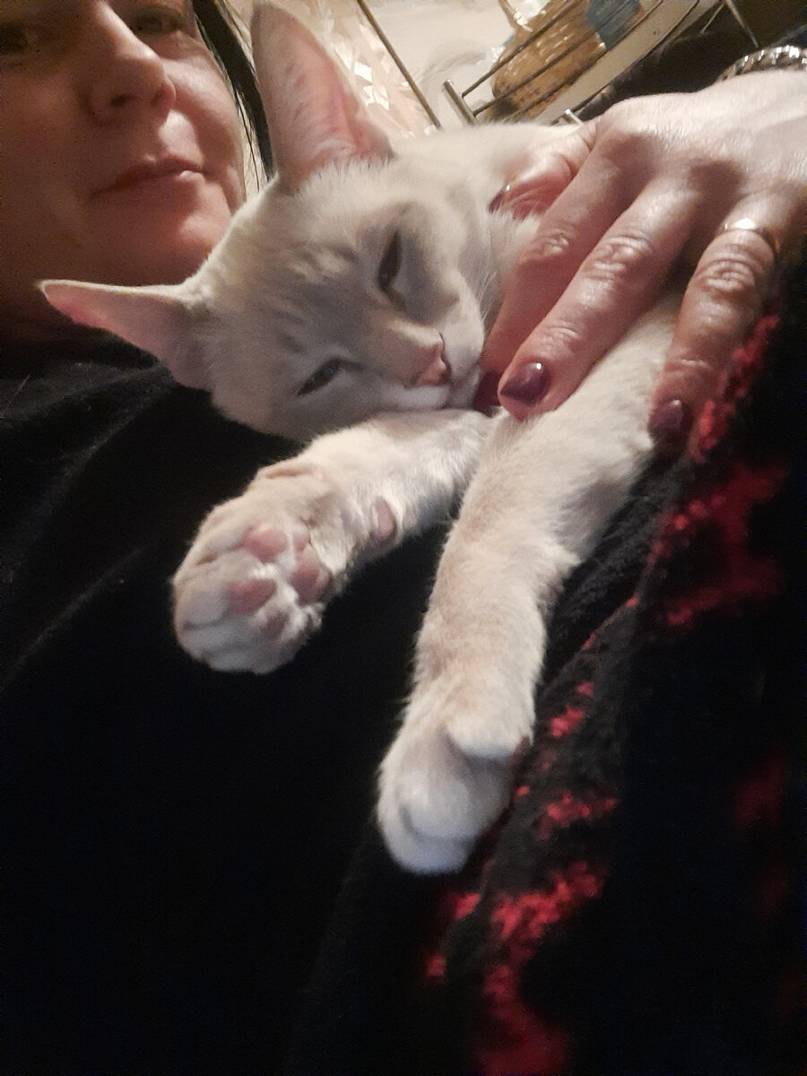 Никому не дам обидеть моего сладкого зайчика