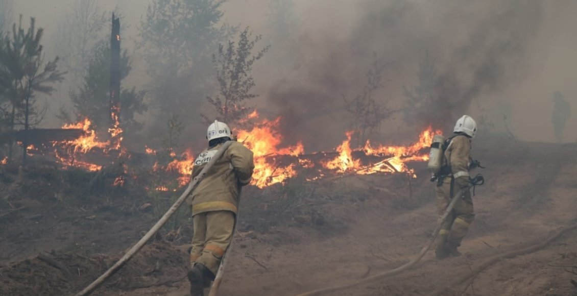    Фото: smartik.ru