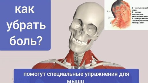 Как убрать боль в шее, плечах, голове? Поможет уникальное кожное упражнение для нервов