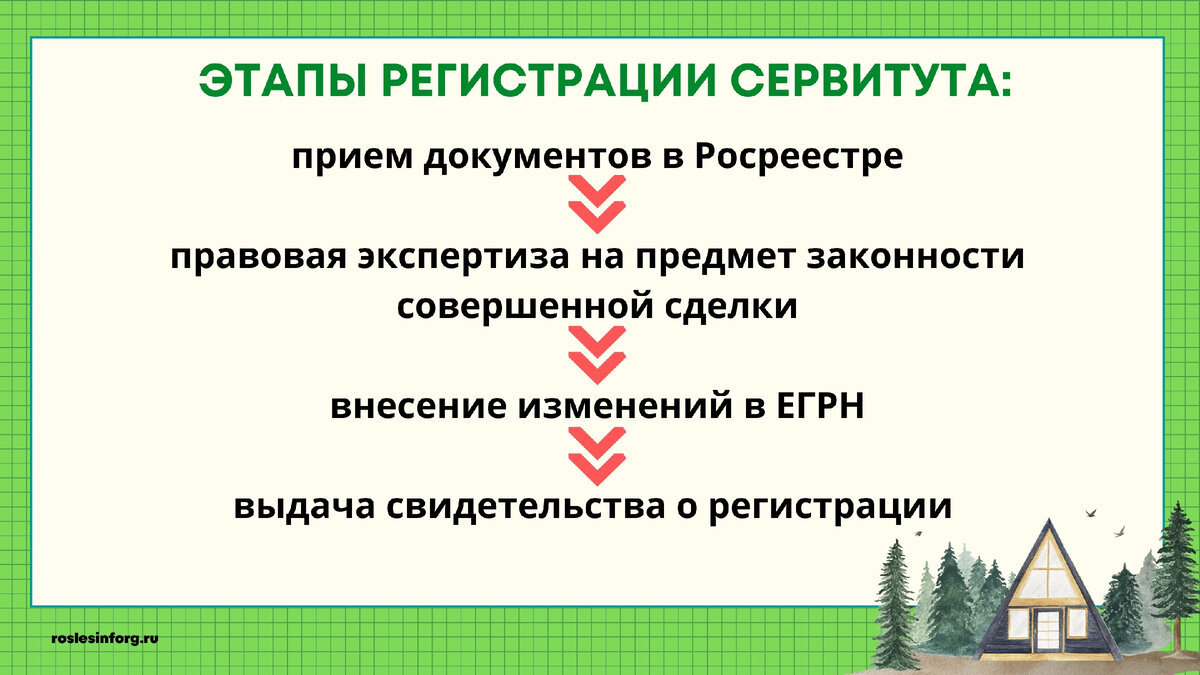 Рекреационные цели назначения земли: что это значит? | Рослесинфорг | Дзен