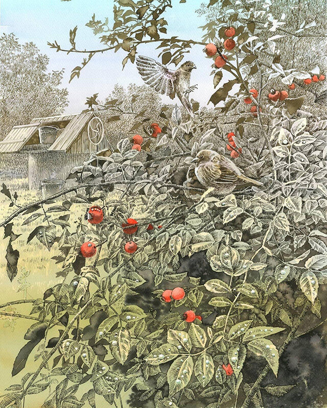 ������ �. �������� 