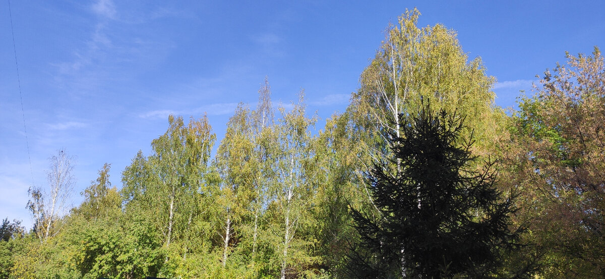 Ранняя осень