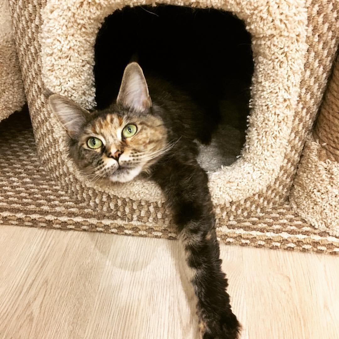 Фото из личного архива.