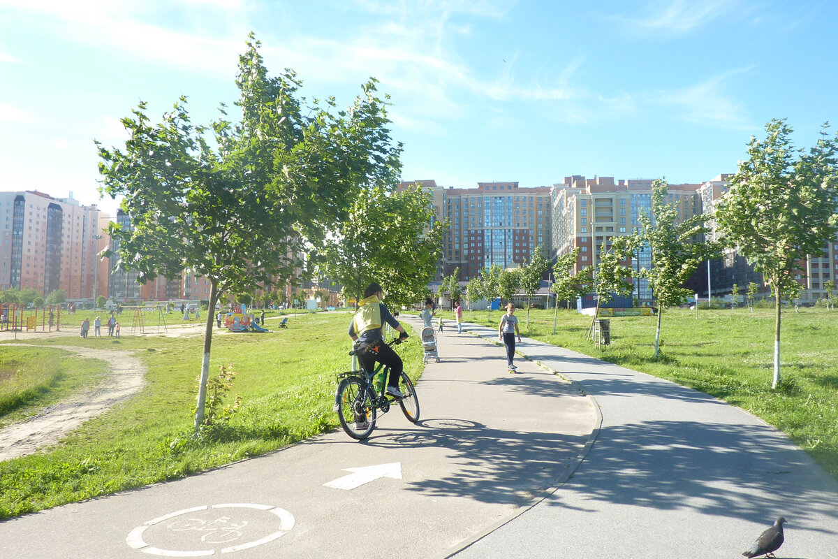 лесопарк оккервиль кудрово. парк новый оккервиль кудрово. лесопарк оккервиль. кудрово новый оккервиль. оккервиль санкт петербург парк.