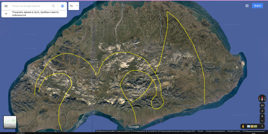 Снимок № 1 о. Врангеля священная птица Ибис фрагмент. Россия.
