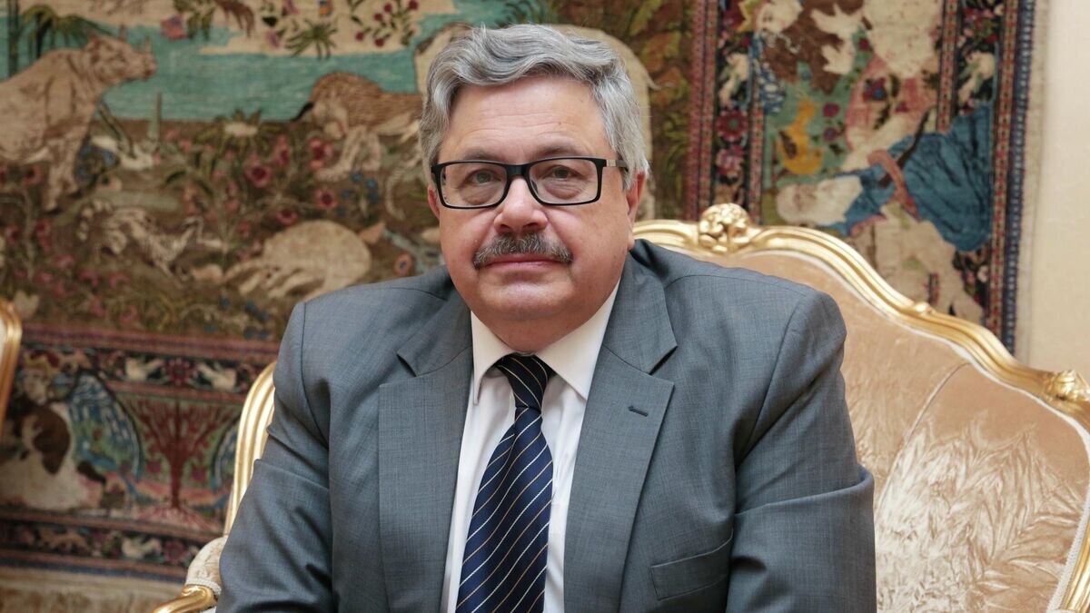    Посол России в Анкаре Алексей Ерхов© Фото : посольство Российской Федерации в Турецкой Республике