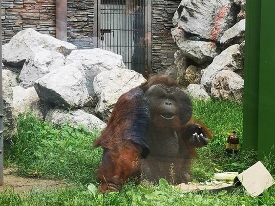     Анастасия Талалаева / "МК в Новосибирске"