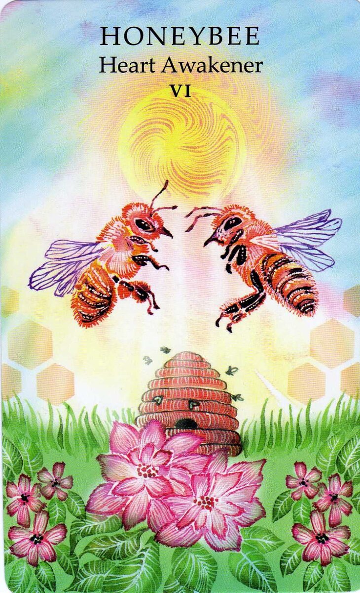 Колода: "Animal Wisdom Tarot"