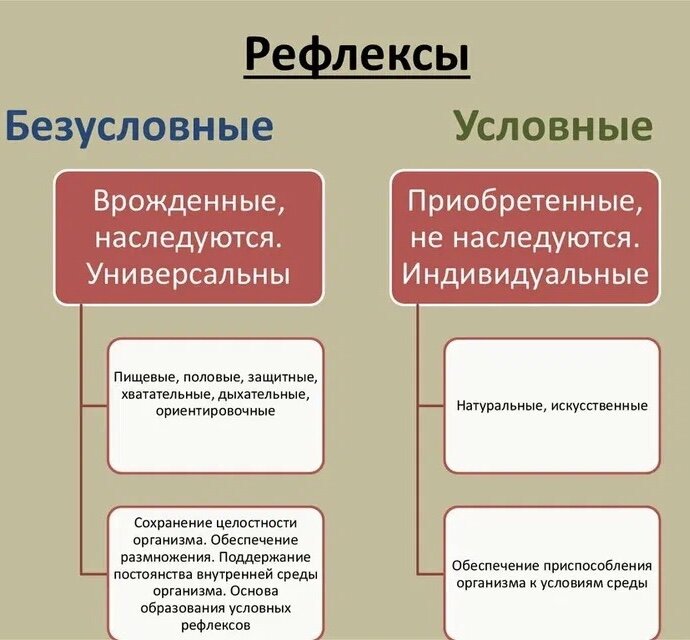 ГДЗ Стр. 53 Биология 8 класс Драгомилов | Учебник