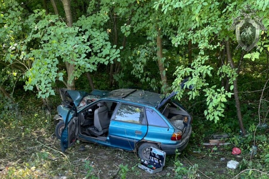 Фото пресс-службы регионального СК