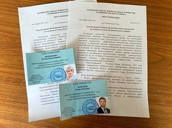     Фото: телеграм-канал Избирательной комиссии Псковской области
