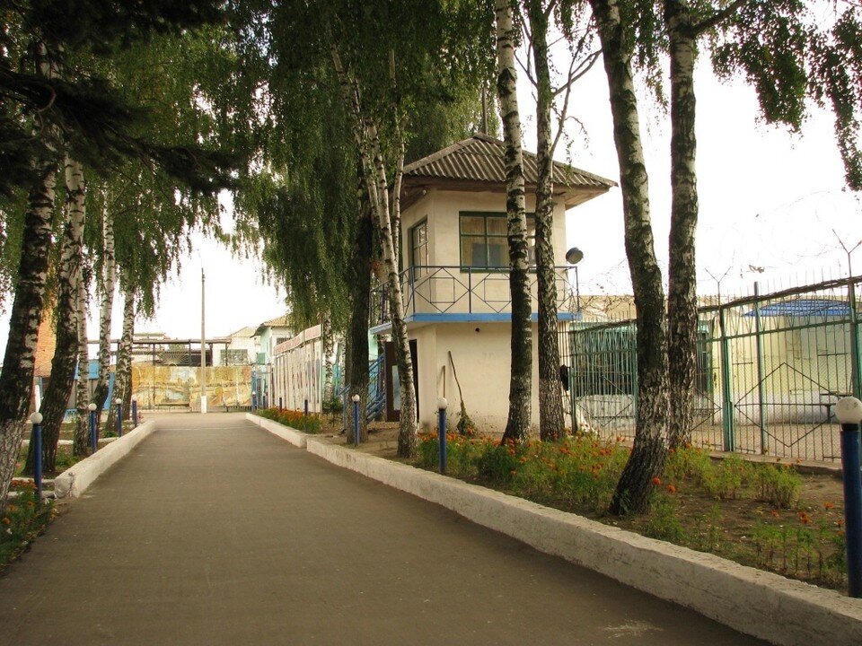     Фото: СУ СК РФ по Орловской области