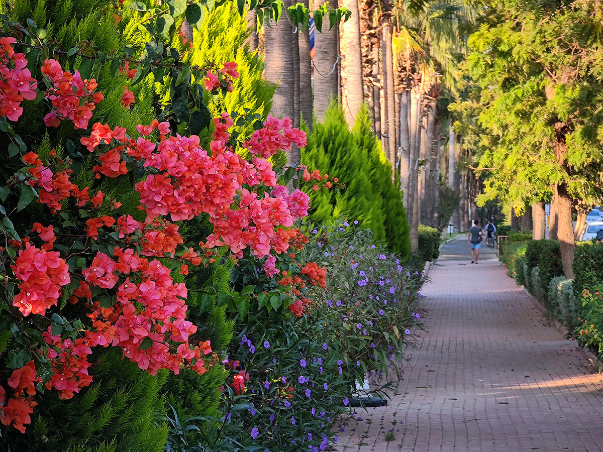 Авсаллар. Аланья. Ноябрь 2022