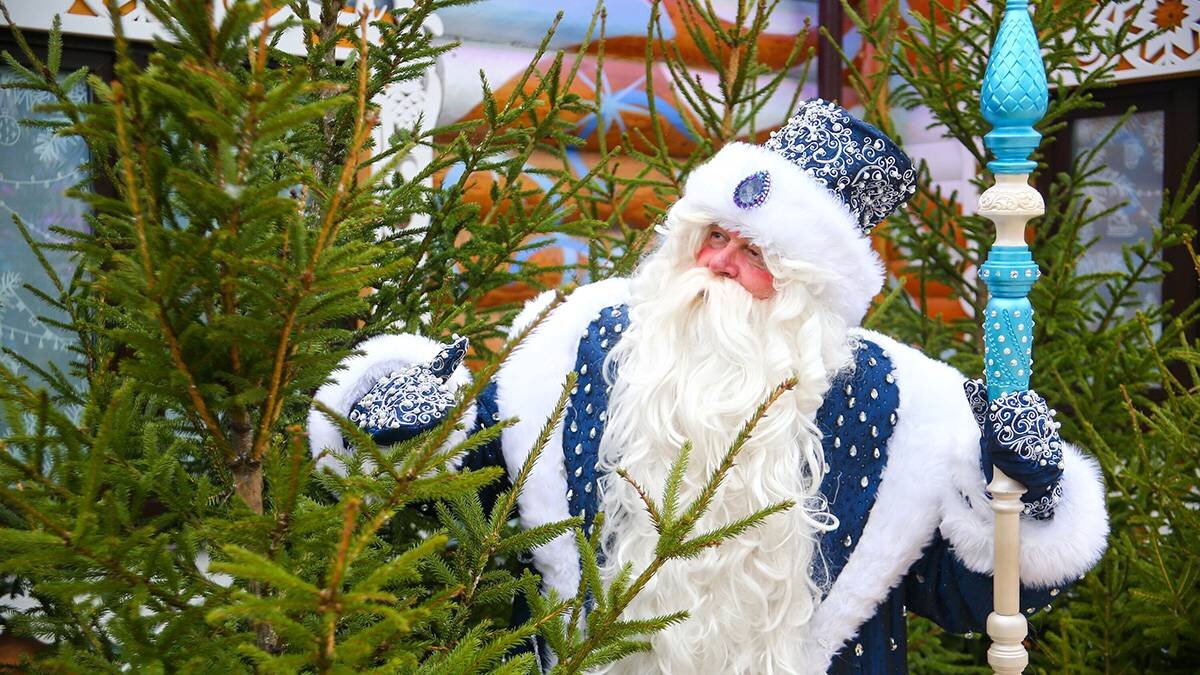    Фото: Сергей Ведяшкин / АГН Москва