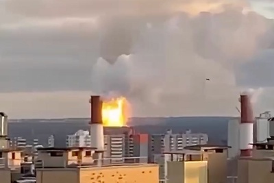   Пожар в Ленинградской области ©Скриншот