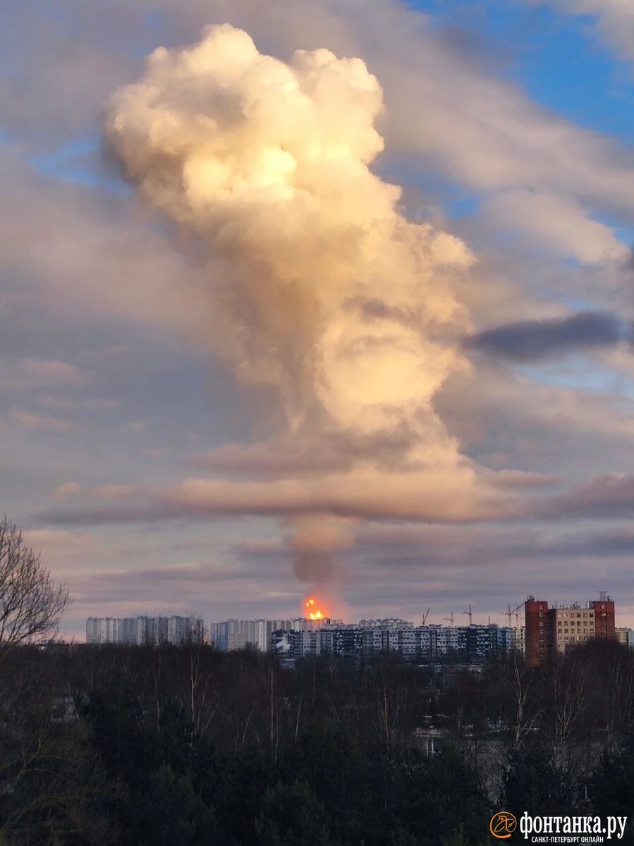 Фото: Читатель фонтанки. Издание "Фонтанка.ру"