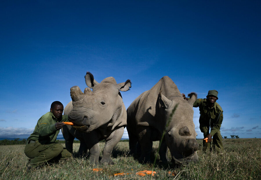 Фату кушает морковку в компании своей матери, Наджин. Пожелаем им приятного аппетита!