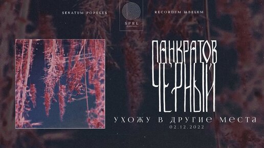 панкратов чёрный — ухожу в другие места (Official Audio Stream | Полный трек)