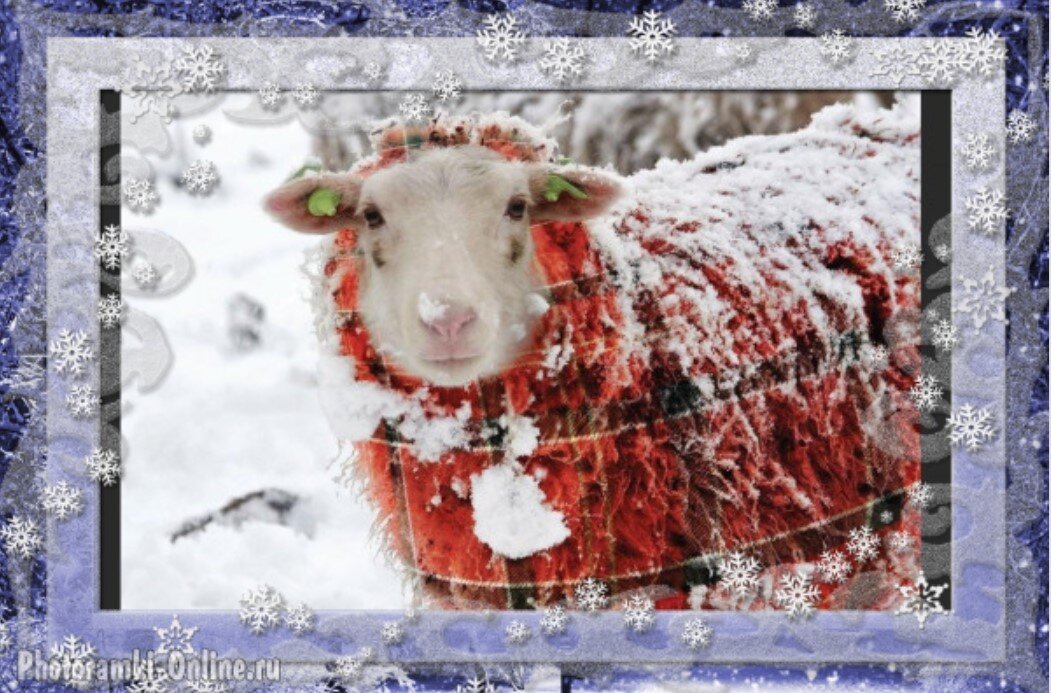 Источник: adonius.club