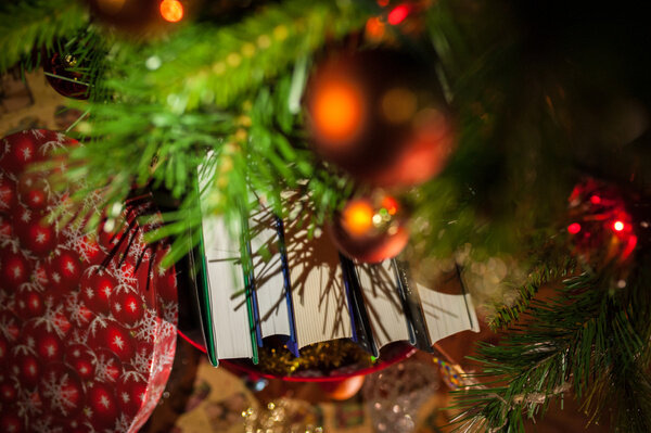 Если решили дарить ребёнку на Новый год книгу, ориентируйтесь не только на захватывающий сюжет, но и на дополнительные материалы — карты, интересные камешки, образцы растений. Фото © Shutterstock