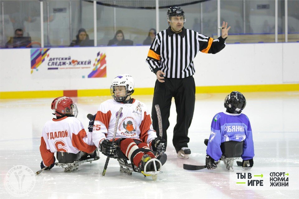     Хоккей стал одним из самых популярных направлений в проект. Источник: mp.paraicehockey.ru