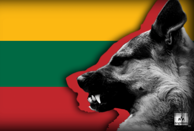    Литва Иван Шилов © ИА REGNUM