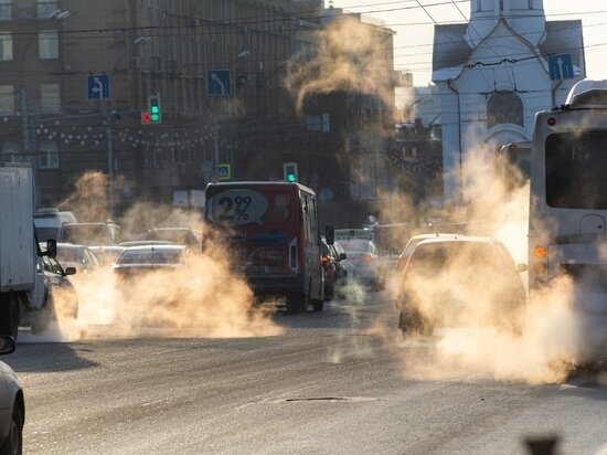     Густаво Зырянов / МК в Новосибирске